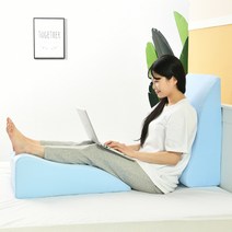 고니자니 스마트 리빙 다리베개, 연블루