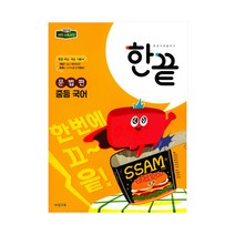 비상교육 한끝 중등 국어 문법편 (2021), 단품