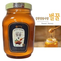 강원양봉 사양벌꿀B_PET_2.4KG, 2.4KG