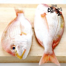 [맛있는날] 제주산 꽃돔(황돔) 손질 필렛 1kg(11미 내외/마리당 17-20cm), 없음