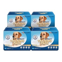 HONEY CARE All-Absorb 160 Count 28