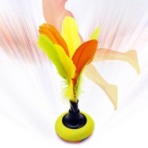 뉴스포츠 배구형식 인디아카 볼