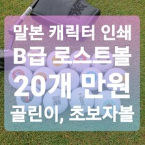 메이저브랜드 로스트볼 B급 로스트볼 20알 1세트 말본 캐릭터 프린팅 골린이 초보자 골프공, 다이아윙스
