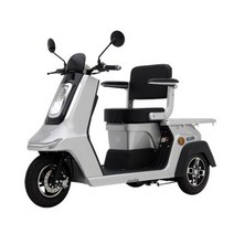 디앤에이모터스 e시티컴카고 3륜 삼륜 전동차 노인 장애인 전동휠체어, 실버