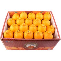 농장직송 고당도 한라봉 3kg 5kg 10kg 꼬마한라봉, 1박스, 벌크포장 한라봉 10kg 중
