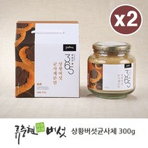 상황버섯균사체 가루 분말 목질진흙 상황 버섯 펠리누스 린테우스 뽕나무상황버섯 균사체 차 물 베타글루칸 효능 국내산, 2개