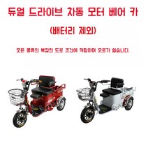 노인 전동차 가족 스쿠터 3륜 전동 전기 자동 세발 소형 노년 배터리 JH, 48V, 35도듀얼배터리제외