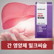 간 영양제 지방간 실리마린 밀크씨슬 약 3개월분, 6개월분