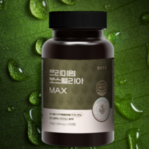 관절 연골 보스웰리아 보스웰릭산 고함량 효능 관절엔 1000mg 1통, 1000mg x 120정