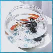 알비노폴레드구 플라스틱 둥근 어항 원형 12.5X10cm 구피 베타 키우기 피 금붕어키우기 미, 본상품선택
