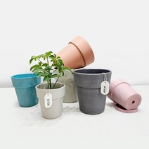 카멜레온 롱원형 플라스틱 화분 받침세트, 아이보리