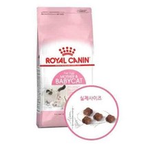 고양이사료 고양이사료 마더 베이비캣 2kg 반려묘밥 [EMSQ#54030601n6286E0