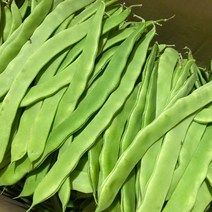 금성식품 중국식품 중국야체 중국콩 떠우죠 중국벤떠우400g