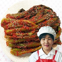 [웰굿] 여수 돌산 특산물 갓김치 3kg, 상세 설명 참조