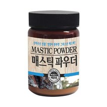 백장생 매스틱 분말 가루100g 건강분말, 100g, 1개
