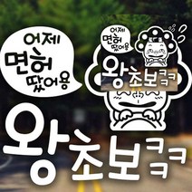 뉴리웹 자동차스티커 어제면허땄어용 왕초보 자동차시트지 차량용스티커주문제작 초보운전스티커 스티커
