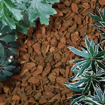 [가든팜] 소나무 바크 고급 대용량 pine bark 30리터 마감재 분갈이 흙 배양토, 일반형