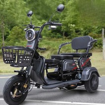 전기 삼토바이 다인승 세발 삼륜 오토바이 가정용 60v, 4세대 800W 모터 (60V20a +  65KM) 4