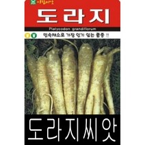 [워터트리몰] 채소 종자 재배 씨앗 도라지 씨앗(12000립중포장) (A)