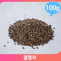 구수한향 결명자 결명자차 식수대용 건강차 100g