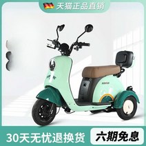 3륜전기스쿠터 전동 배터리 삼륜 출퇴근, E