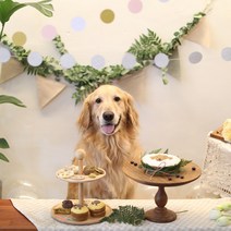그냥 점례 [그냥 점례] 강아지 생일파티 6종 선물세트 케이크, 선물세트 케이크 맛선택(닭고기)