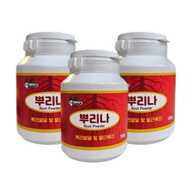 농사친구 뿌리나 루트 파우더 100g 삽목 발근제, 300g, 1개