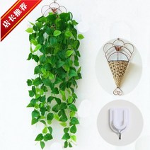 거실벽장식 벽걸이 그린 등나무 식물 가림막 식당 장식품 화분 리얼 걸이용품 가슴 티 깔다 위 벽면 2451438170, 요정 그린 뤄한송이 (걸이를선물 바구