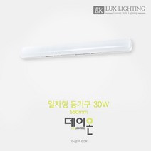 데이온 십자등 60W 일자등 30W 주광색 6500K LED 등기구