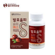 월드바이오팜 발효율피슬림에스 600MG X 120정 X 12병 레몬밤 락토페린 탄닌