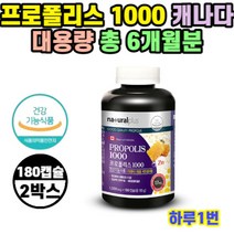내츄럴플러스 프로폴리스 1000 180캡슐 x 2병 12개월, 상세페이지 참조, 상세페이지 참조, 상세페이지 참조, 상세페이지 참조