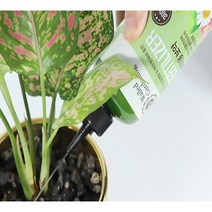 식물 영양제 꽃 화분 화초 뿌리발근제 나무 퇴비 영양제, 300ml 1개