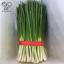 국내산 국내산 깐쪽파 약 900g~1kg, 쪽파