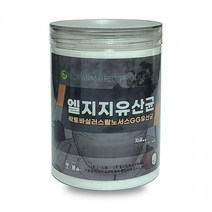 엘지지유산균 락토바실러스 랍노서스 lgg 유산균 350g, 단품, 단품