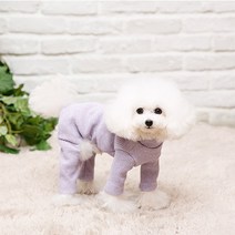 [펫디자인] A347 와플올인원, 퍼플