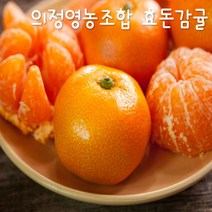 프리미엄 효돈감귤(의정영농조합) 비가림 5kg - 당도최고감귤, 5kg 중간귤(S,M,L)
