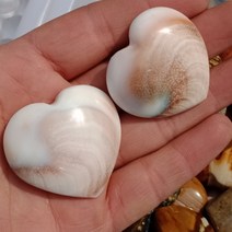 조개화석 암모나이트 화석 2 6 자연 태양 껍질 화석 심장 모양의 표본 팜 스톤 원래, 4개