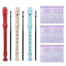 알토 리코더 소프라노 클라리넷 플루트 바로크식 저먼식 악기 베이스 테너 청소 막대로, 없음