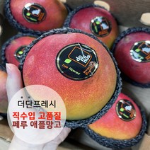 [더단프레시] 직수입 특품질 페루 애플망고 선물세트, 3.페루 애플망고 10~12과(중과) 랜덤 4kg