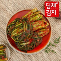 [딤채식품] 건강담은 갓김치 1kg, 1개