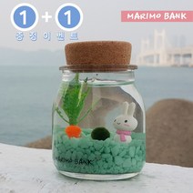원플러스 [1+1]그린 마린토끼 DIY세트-마리모중(10mm)포함, 1개