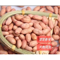 [신중국식품]생땅콩 중국산생땅콩큰알(대) 성화성 생땅콩중(바이싸), 1kg, 1개