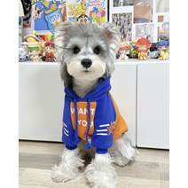 포근한 따뜻한 귀여운 웰시코기 큰 개 애견의류 뽀글이 스트라이프 얇은 강아지옷 통기성 러닝, 품목별 사이즈가 달라 고객센터, 펜타스타 블루 오렌지 후드 기모