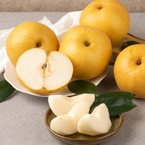 농가살리기 신고배 배 국내산 랜덤과 3kg 5kg, 신고배 3kg (랜덤과)