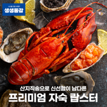 고씨네 자숙랍스타 550g 랍스터 자숙랍스터 킹크랩, 단품