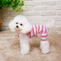 [펫디자인] 캔디 끈나시 올인원 강아지옷, 핑크
