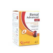칸디올리 레날 어드밴스드 고양이 신장질환 보조제 신부전치료 Renal advanced, 단품, 단품