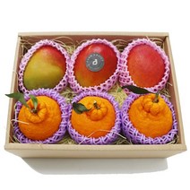 설명절 선물 보자기포장 패키지 프리미엄 한라봉 애플망고 과일 선물세트 망고혼합 특대과 구성 명절 이바지 축하선물 팜스데일리