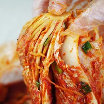 맛보장 김장포기김치 5kg(1~1.5포기내외), 단품