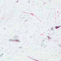 에프에이보드 흡음재 단열재 방음보드25T-600-HJT(방염 )방음재, HJT-105, 1개